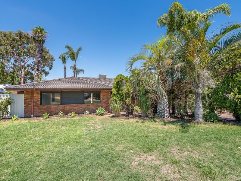 24 Towarda Way, Wanneroo