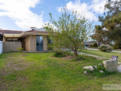 19A Binstead Court, Koondoola WA 6064