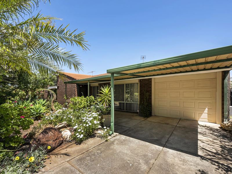 105 Talbot Road, Swan View WA 6056