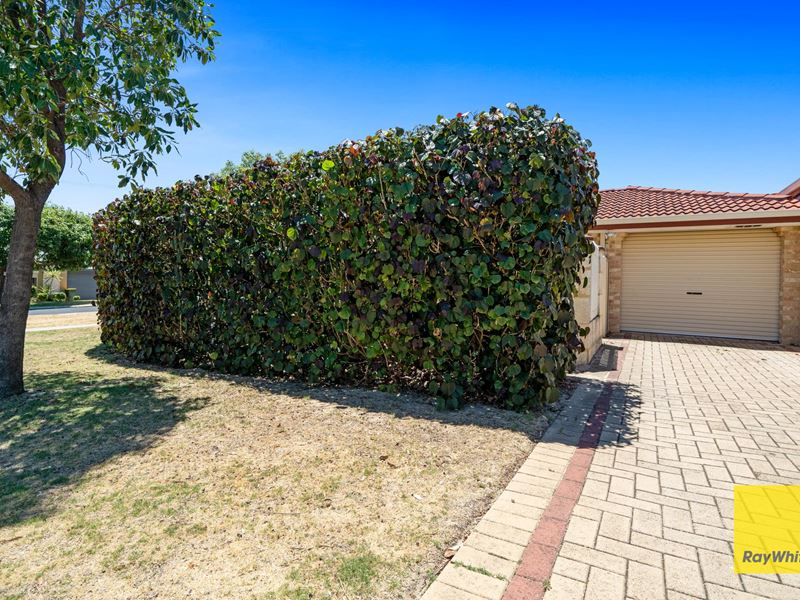 38 Newhaven Way, Nollamara