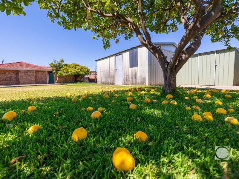17 Amberley Way, Hamilton Hill
