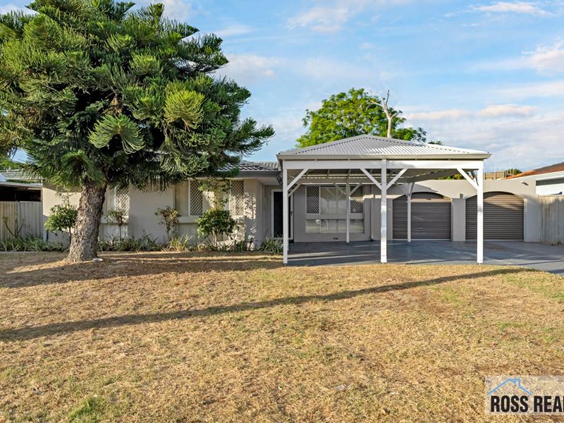 13 Whitehouse Drive, Koondoola