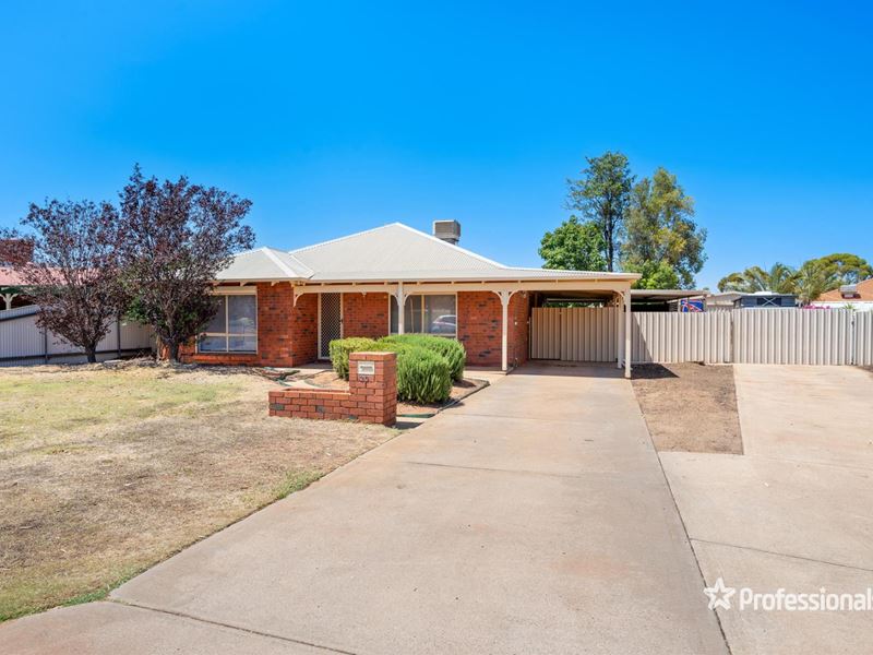 20 Paddington Drive, Hannans