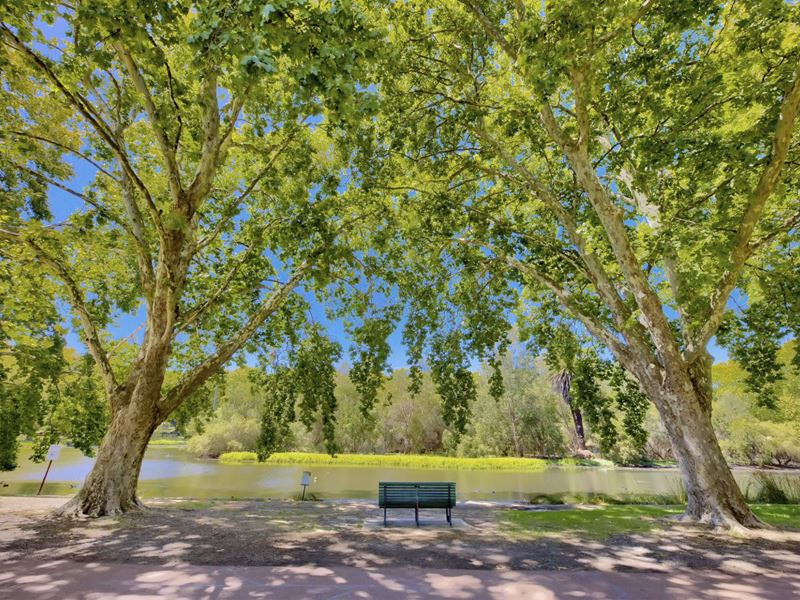 37 Glendower Street, Perth WA 6000