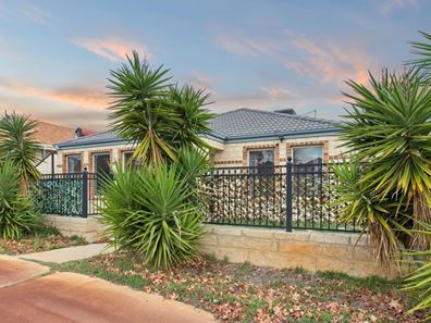 4 Homestead Drive, Clarkson WA 6030