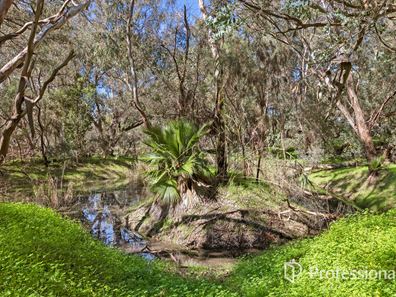 34 Gardiner Drive, Henley Brook WA 6055