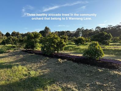 5 Wannang Lane, Witchcliffe WA 6286