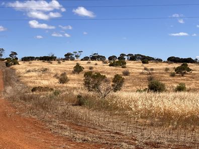 Lot 1383, 18801 South Coast Highway, Ravensthorpe WA 6346