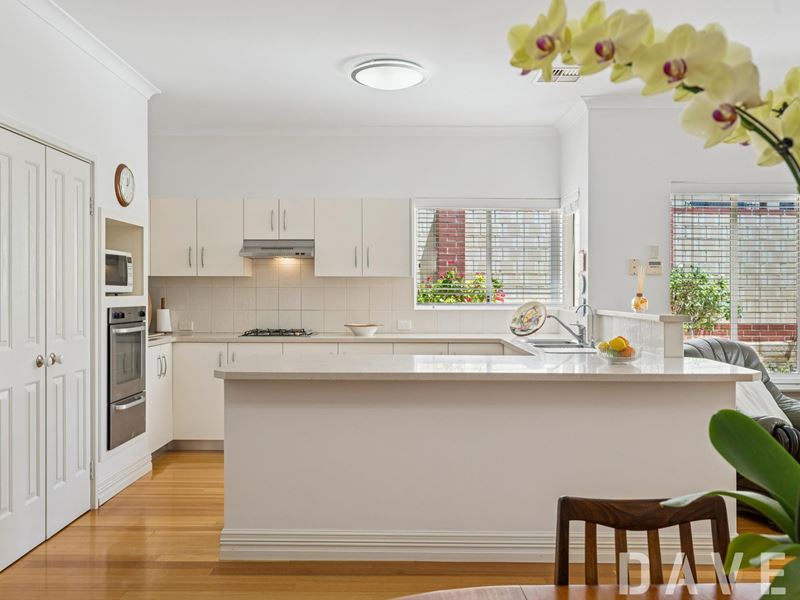 17 Shoveler Terrace, Joondalup WA 6027