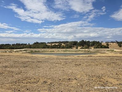 "Bloomvale", Bloomfields Road, Scotts Brook WA 6244