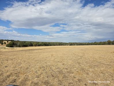 "Bloomvale", Bloomfields Road, Scotts Brook WA 6244