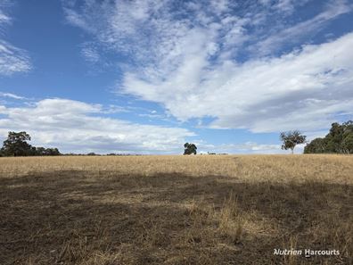 "Bloomvale", Bloomfields Road, Scotts Brook WA 6244