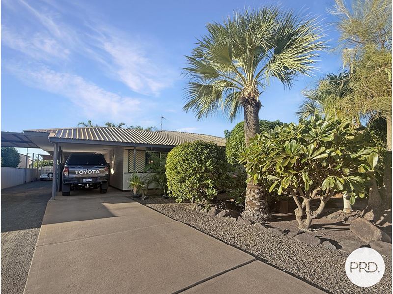 6 McCamey Loop, Baynton WA 6714