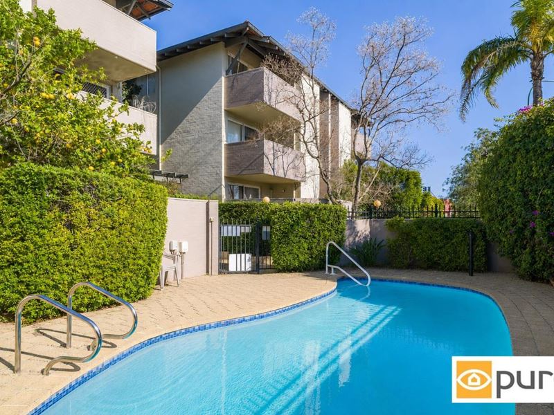17/237 Cambridge Street, Wembley WA 6014