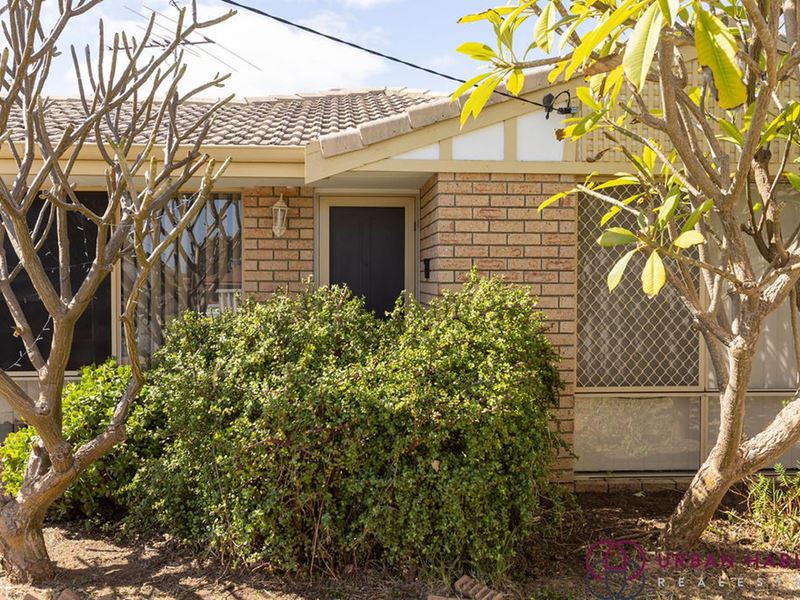 3B Limer Place, Parmelia WA 6167
