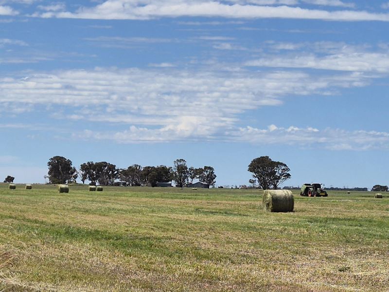Ratio Downs, Degrussa Road, Gibson WA 6448