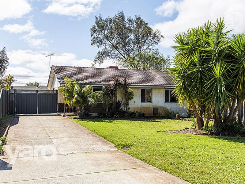 8 Escalus Street, Coolbellup