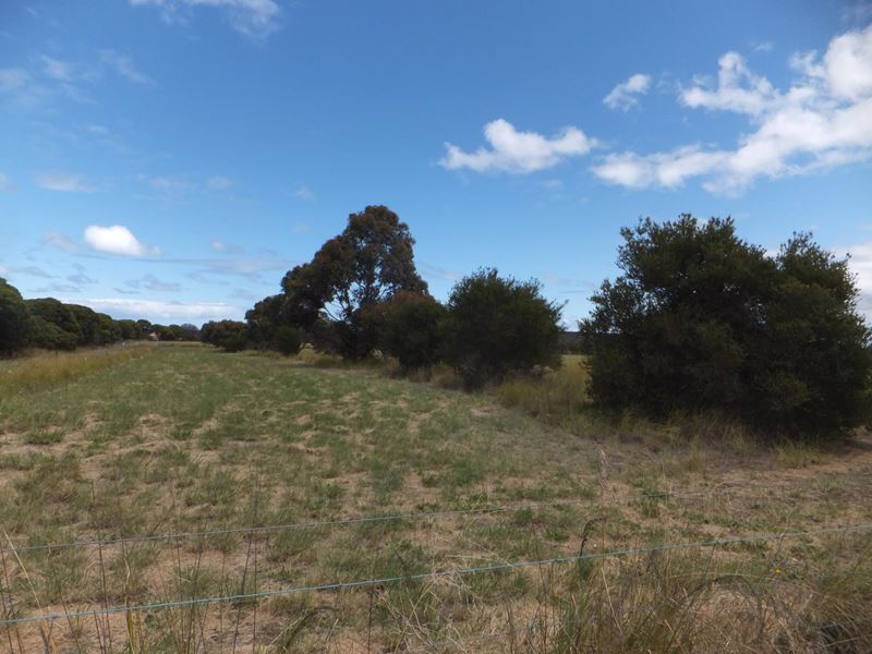 553 Godenia Way, Hopetoun