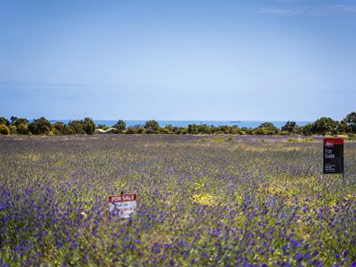 Lot 200,  LOT 200 Trefusis Place, Waggrakine WA 6530