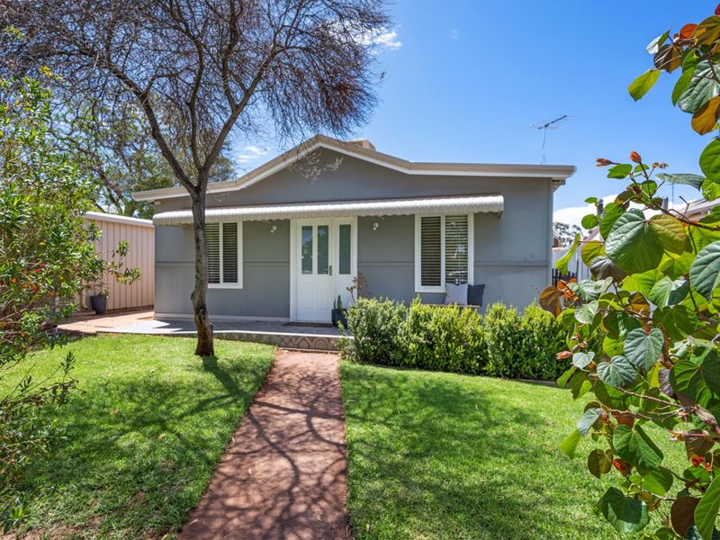 7 Addis Street, Lamington