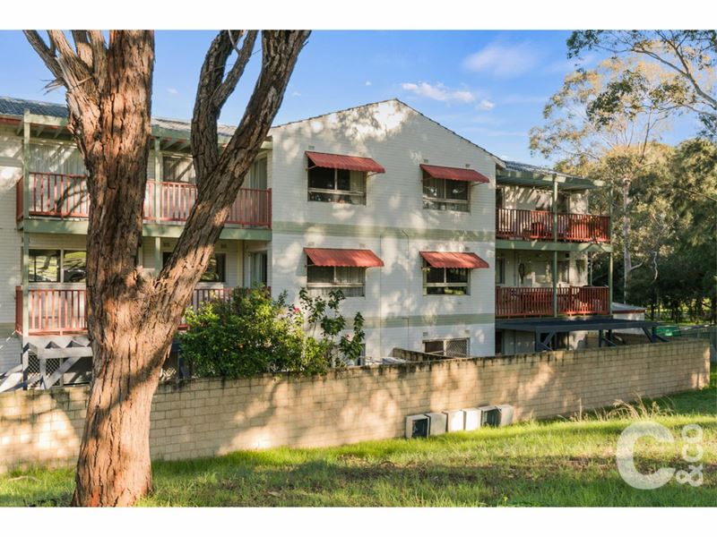 16/27 Partridge Street, Orelia