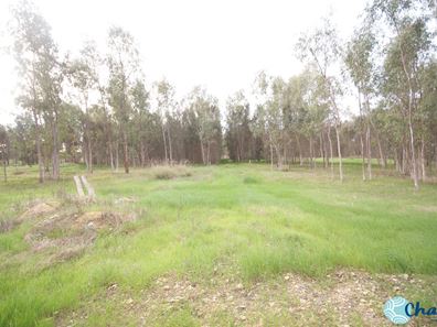 Lot/20 Haines Road, Baldivis WA 6171