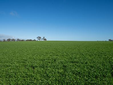 Glenrowan 209 Washington Road, Katanning WA 6317