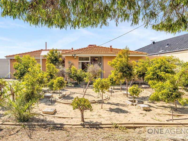 23 Hanworth Street, Balcatta
