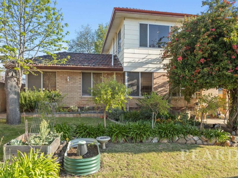 27 Regent Avenue, Mount Pleasant WA 6153