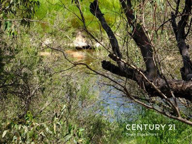 57 Toodyay Street, Toodyay WA 6566