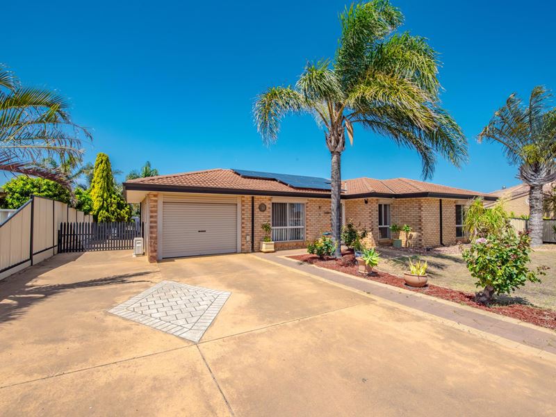 8 Mullian Way, Waggrakine WA 6530