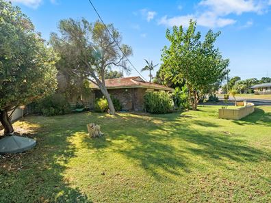 19 Thomson Street, Mandurah WA 6210