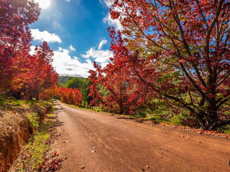 52 Slab Gully Road, Roleystone WA 6111