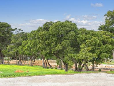 21 Whistler Drive, Karridale WA 6288