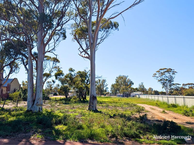 8 McLaren Street, Tammin