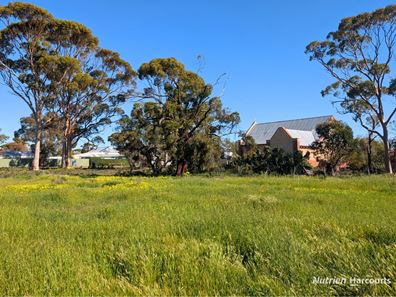 8 McLaren Street, Tammin WA 6409