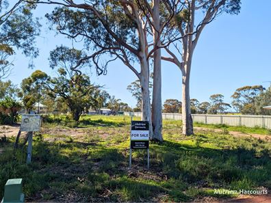 8 McLaren Street, Tammin WA 6409