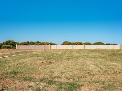 45 Eurithmic Link, Wandina WA 6530