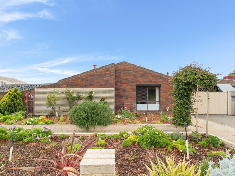 7 Lara Court, Cooloongup WA 6168