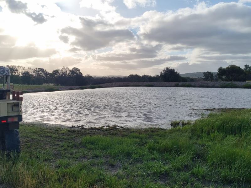 1667 York-Williams Road, Dale WA 6304