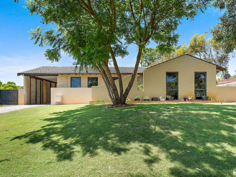 3 Adelina Court, Camillo WA 6111