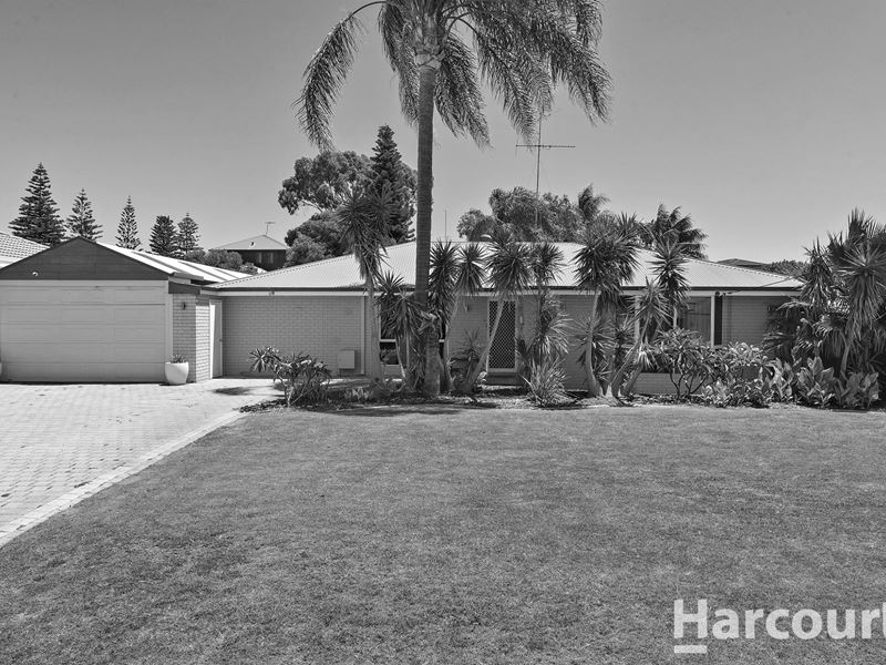 5 Bannon Street, Singleton