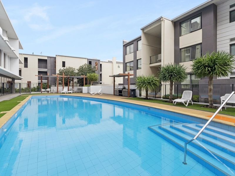 107/2 Tenth Avenue, Maylands