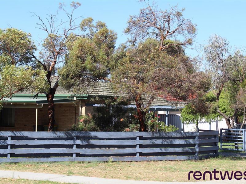 22 Radney Street, Willagee WA 6156