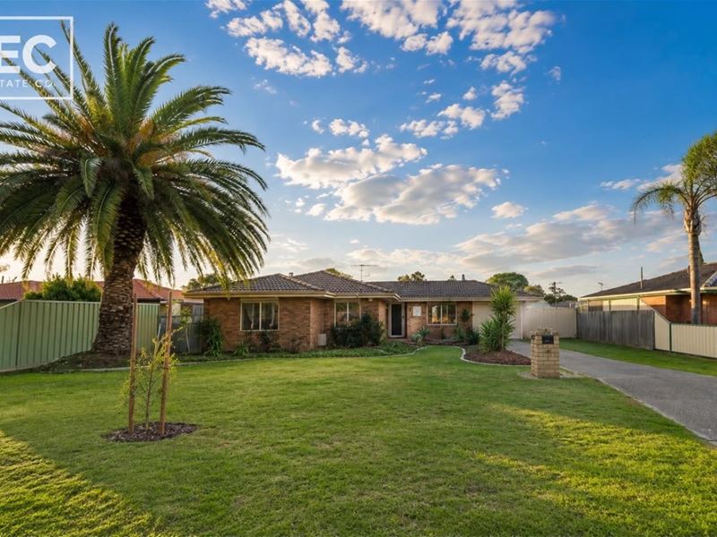 17 Goongarrie Drive, Waikiki WA 6169