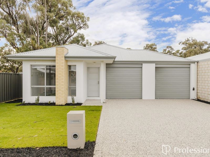 16 Matterhorn Road, Baldivis WA 6171