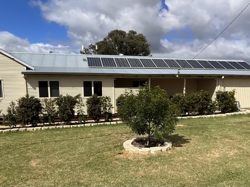 3 Michibin Street, Wandering