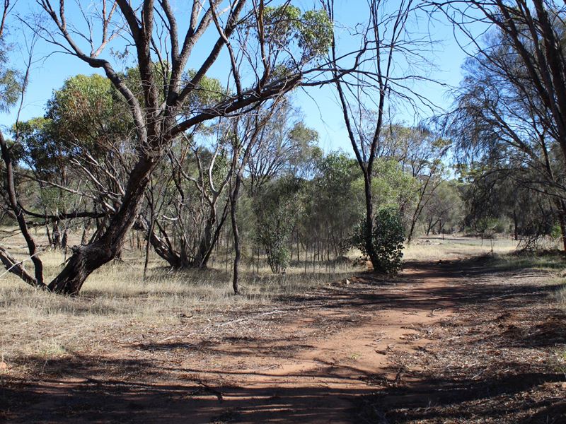 112 Munro Street, Cuballing