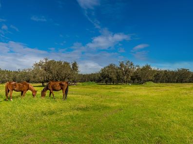 3041 Great Northern Highway, Bullsbrook WA 6084