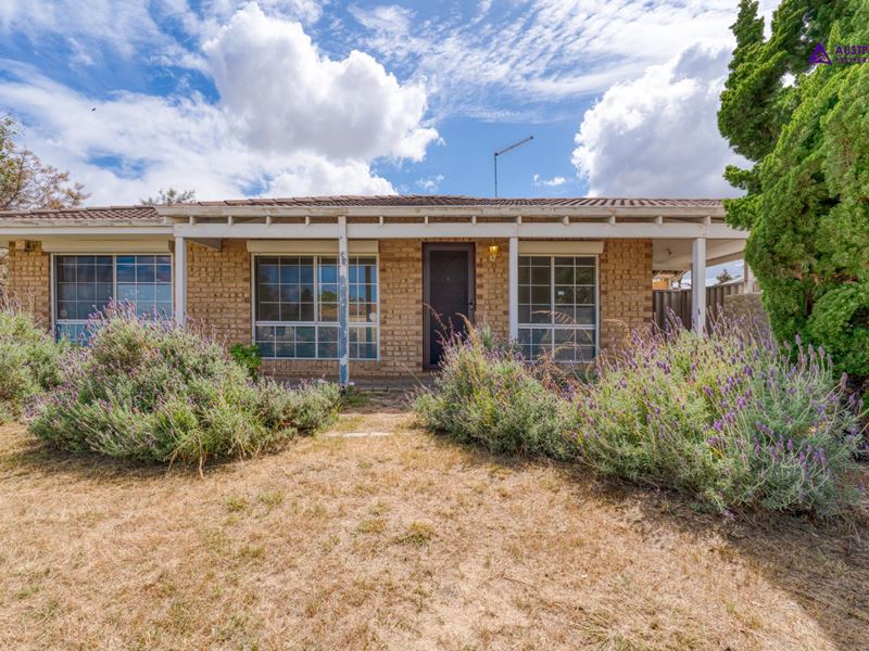 1 Pinetree Close, Alexander Heights